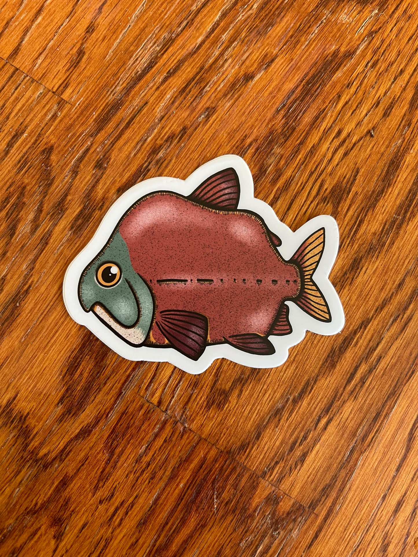 Cute Salmon Sticker